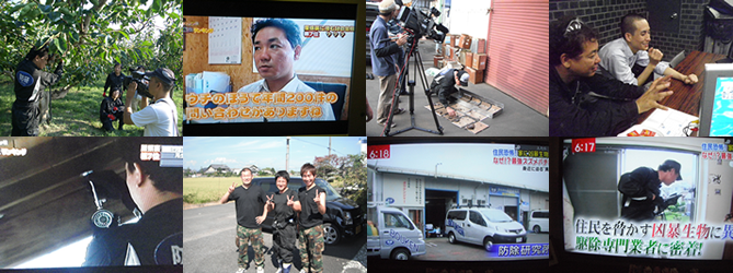 TV出演